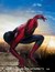 Spider4